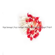 Puja Samagri- Jajanka (जजंका) 100pc